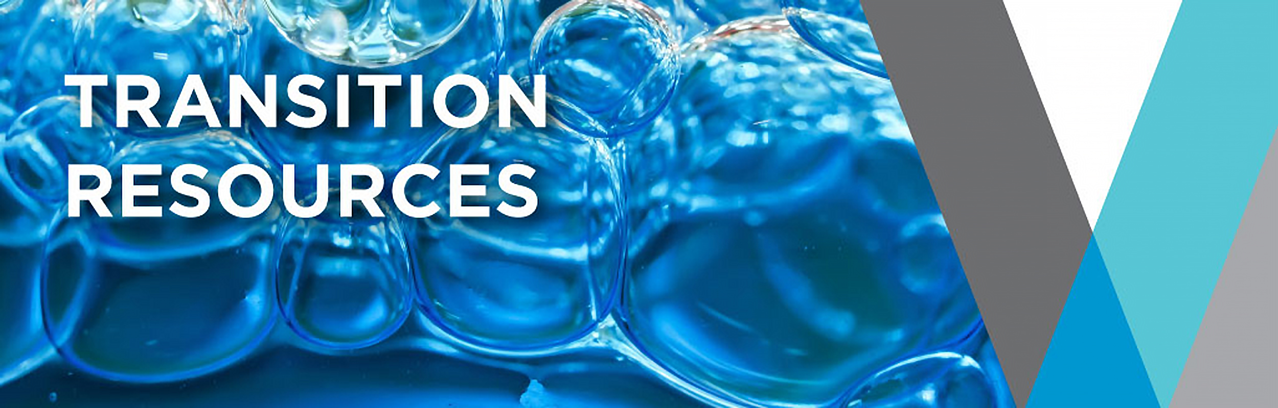 transition resources