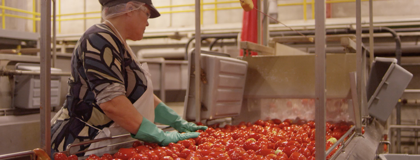 Our Plants Campbell Soup Company Careers