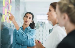 Explore Opportunities