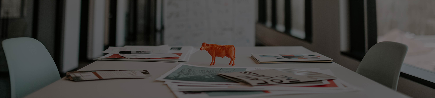 Orange Cow Banner