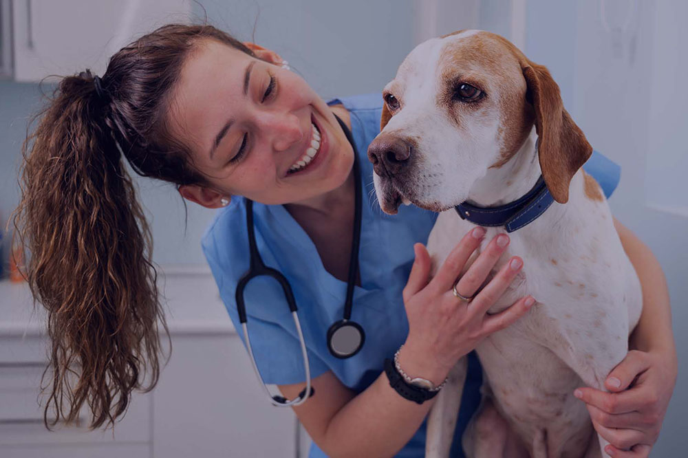 Exit Interview Questions and Tips for Veterinary Practices