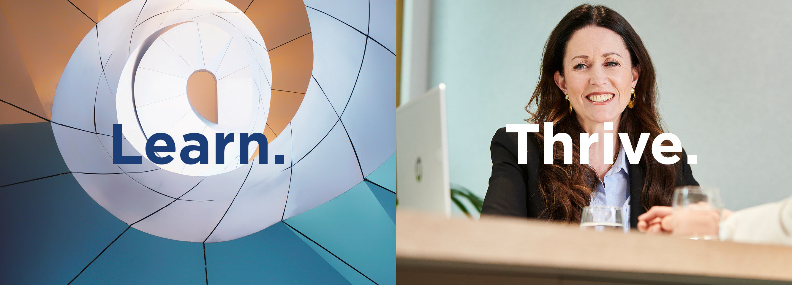 life-hsf-kramer-hannah-ambrose-learning-and-development-professionals-banner