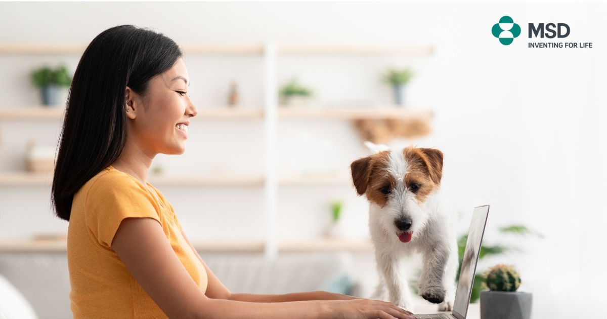 Supply Chain Lead job in Murarrie, Queensland, Australia Supply Chain